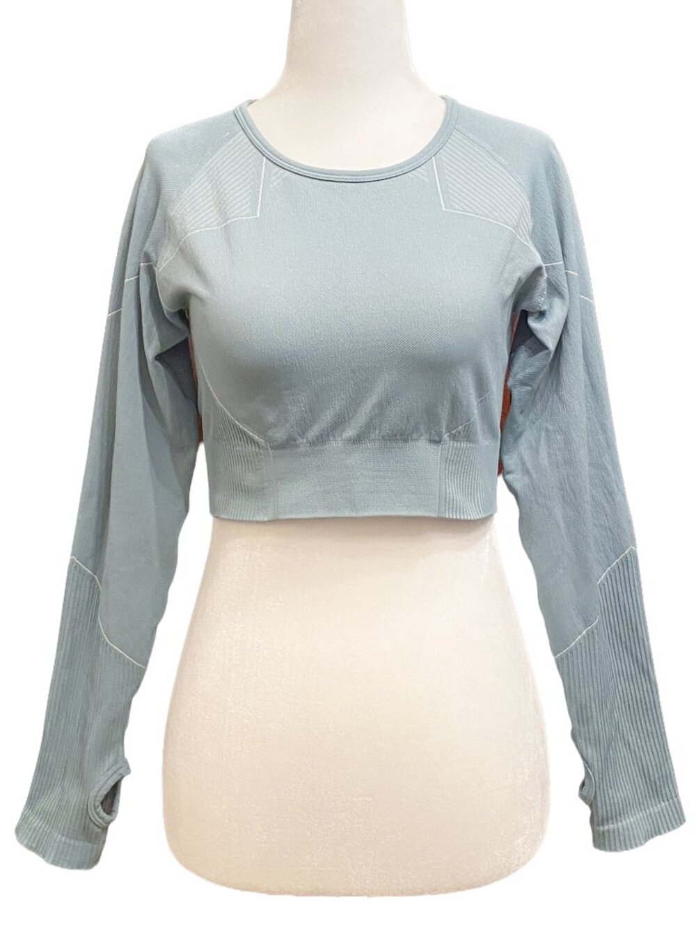 AYBL Reflex Seamless Long Sleeve Crop Top Sage Blue Contour Small